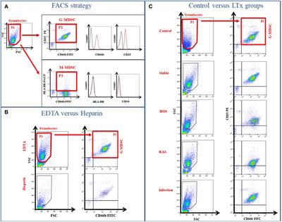 Myeloid-Derived Suppressor Cells in Lung Transplantation